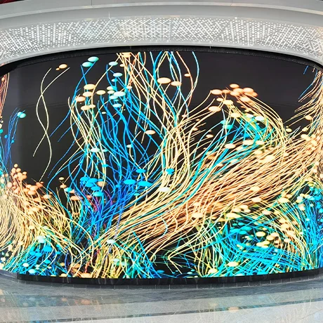 城市管理